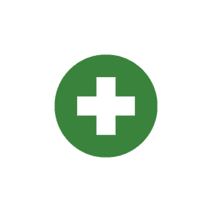 Health Insurance Icon