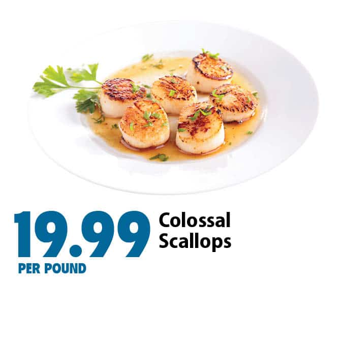 Colossal Scallops