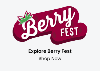 explore berry fest. shop now.